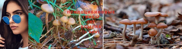 МДМА Нея