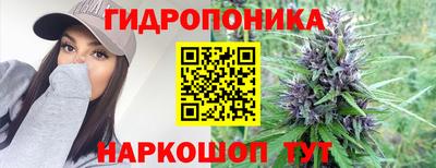 тгк Канаш