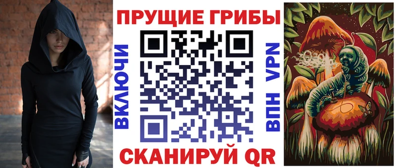 Псилоцибиновые грибы Cubensis  Псков 