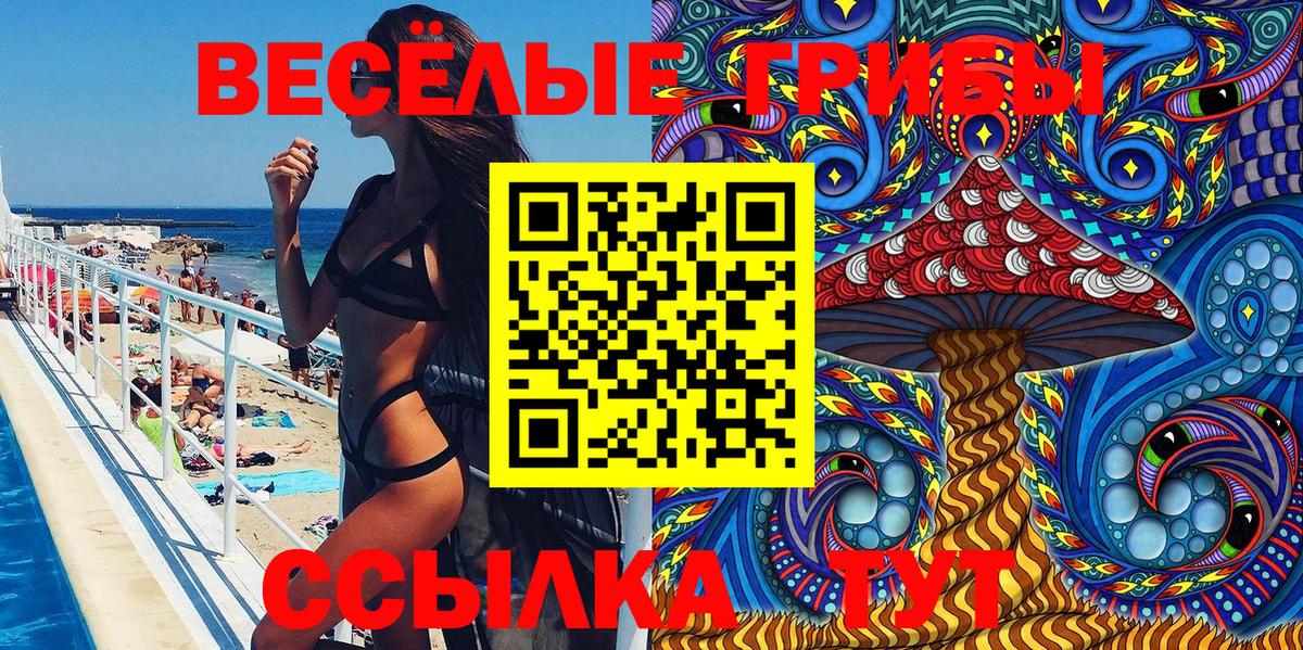 Псилоцибиновые грибы Psilocybe  Вход с VPN  Псков 